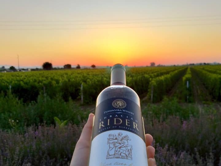 The atmosphere of the vineyards at sunset