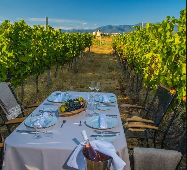 Struma Valley wine tasting in the vineyards
