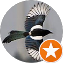 Poul Magpie profile picture