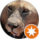 Jimmy Li profile picture