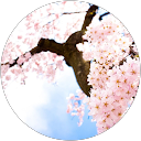 Neel _ profile picture